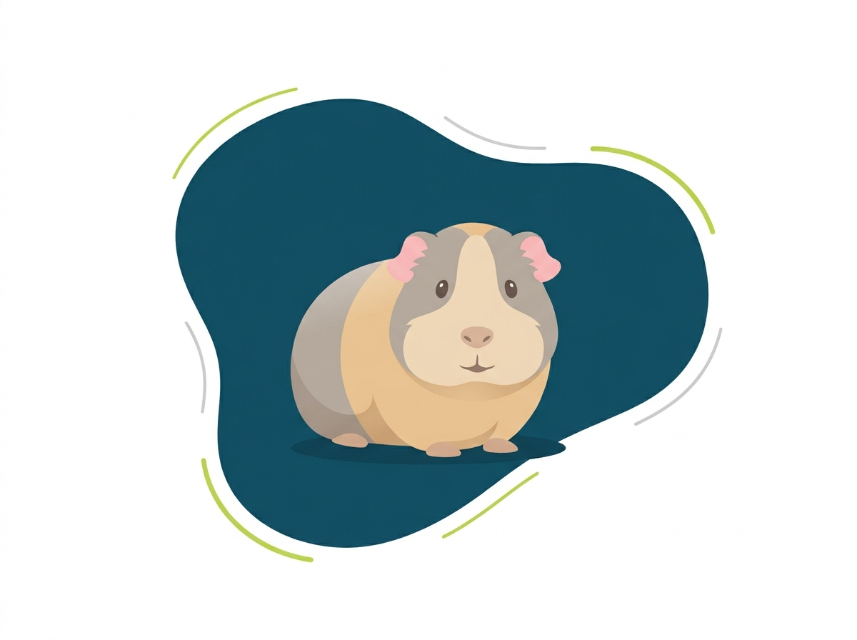 Meerschweinchen sitzt vor einer petrolfarbenen Fläche